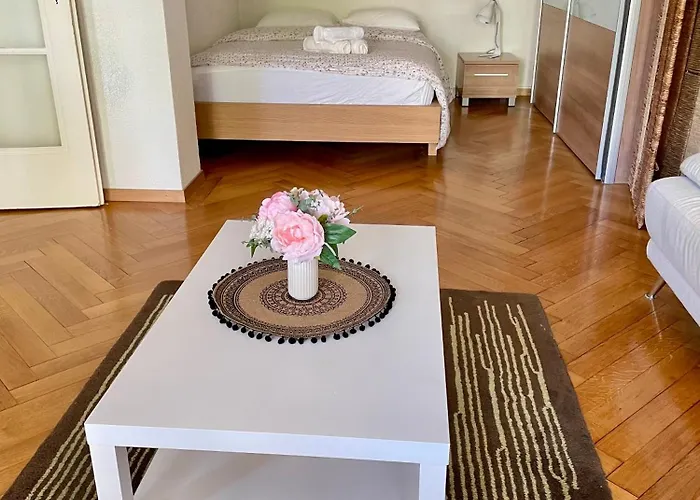 Apartment 9 Minutes From Train Statio Lausanne